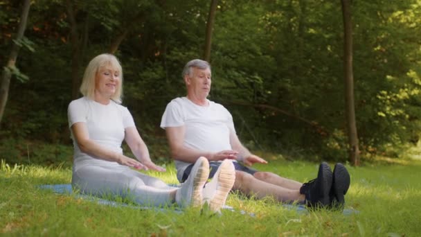 Concepto de jubilación activa. Cónyuges mayores sanos y positivos haciendo ejercicio en el parque urbano, haciendo estiramientos juntos — Vídeos de Stock
