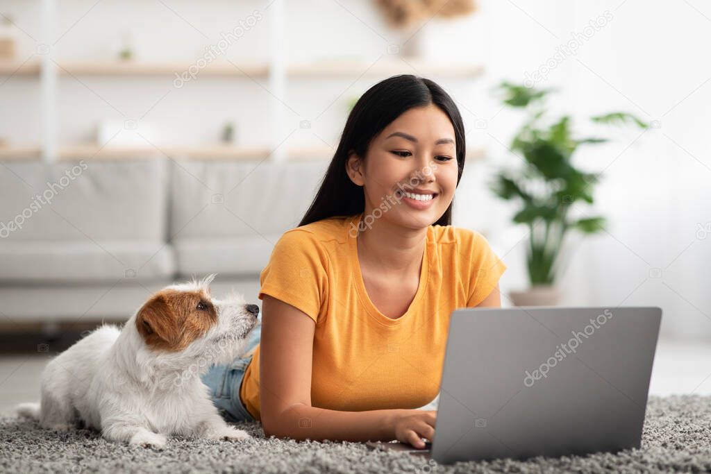 Loyal dog looking at its female owner using laptop