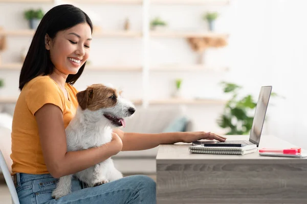 Feliz asiático mujer independiente contratista trabajo desde casa — Foto de Stock