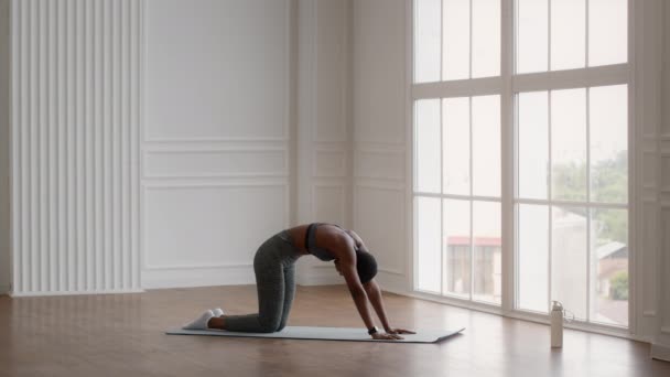 Flexible mujer negra en ropa deportiva estirando su espalda mientras se entrena en casa — Vídeo de stock