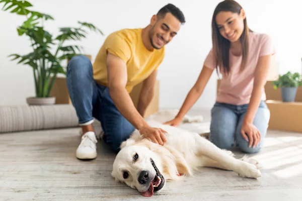 Wohnortwechsel. Positives junges multirassisches Paar streichelt seinen Hund im neuen Zuhause am Umzugstag, selektiver Fokus — Stockfoto