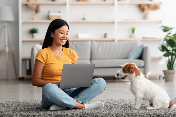 Alegre asiático mujer usando laptop, jugando con perro — Foto de Stock