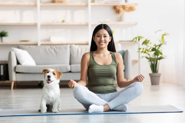 Positieve jonge vrouw doet yoga met haar hond thuis — Stockfoto