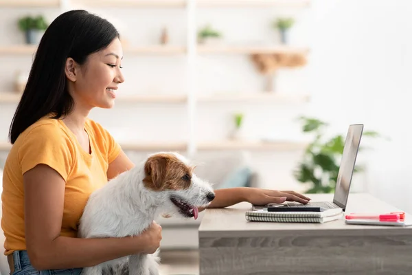 Ocupado asiático mujer trabajando desde casa, acariciando su perro — Foto de Stock