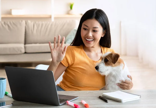 Bastante asiático mujer con perro tener vídeo conferencia a través de portátil — Foto de Stock