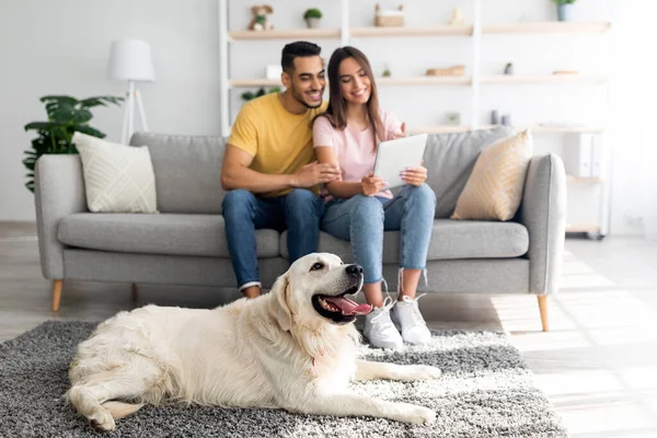 Couple affectueux et diversifié utilisant une tablette sur le canapé, chien mignon couché sur le sol à la maison, mise au point sélective — Photo