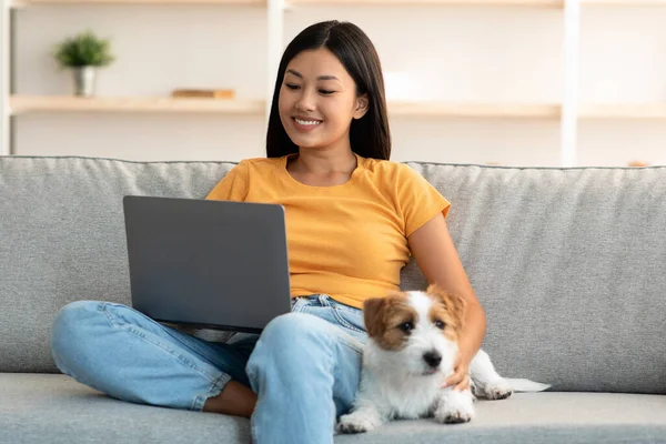 Chien fidèle reposant par sa propriétaire féminine à l'aide d'un ordinateur portable — Photo