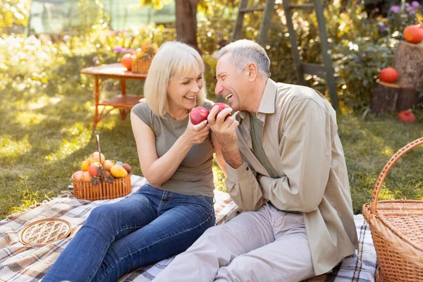 Pozytywna para seniorów siedząca na trawie polowej i ciesząca się jedzeniem jabłek, czatowaniem i śmiechem, odpoczywaniem na świeżym powietrzu w ogrodzie — Zdjęcie stockowe