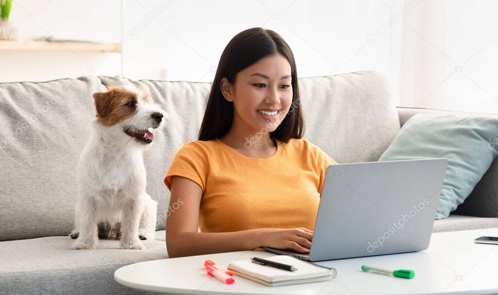 Joyful asian lady surfing on Internet, cute puppy sitting by