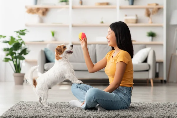 Ägare leker med glad hund hemma — Stockfoto