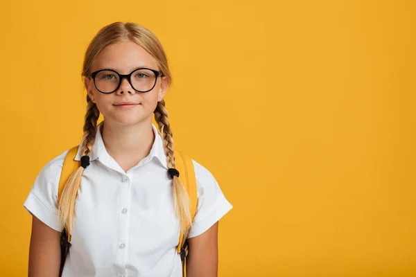Poważny spokój inteligentny biały nastolatek dziewczyna student w okulary z warkocze patrzeć w aparat — Zdjęcie stockowe