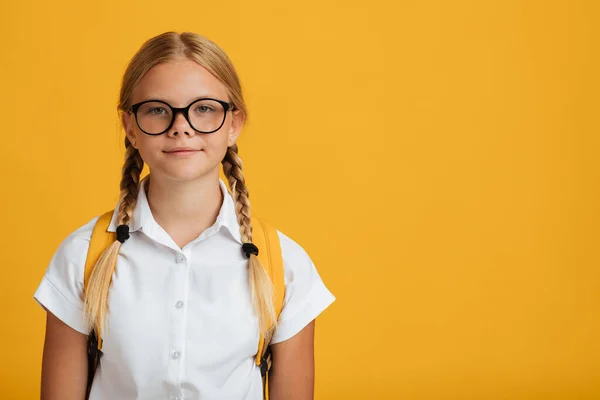 Seriózní klid inteligentní kavkazský teenager dívka student v brýlích s copánky pohled na kameru — Stock fotografie