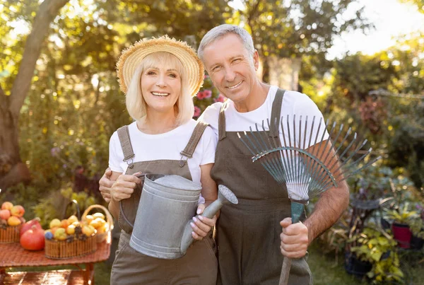 Preciosos cónyuges mayores sosteniendo herramientas de jardinería, trabajando en el jardín en el día soleado, mujer con regadera, hombre con rastrillo —  Fotos de Stock
