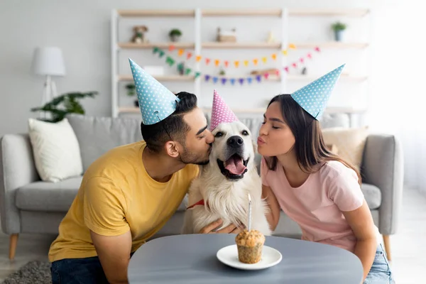 Young interracial couple in party hats celebrating their dogs birthday, kissing their pet at home