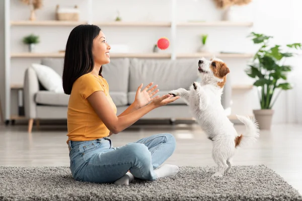 Joven mujer asiática disfrutando de juegos de pelota con lindo cachorro — Foto de Stock