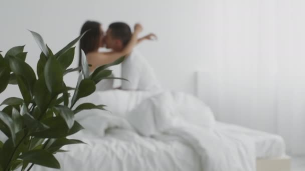 Sensuella unga par kyssas i sängen, älska i sovrummet hemma — Stockvideo