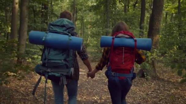 Fines de semana familiares activos. Joven pareja casada irreconocible mochileros caminando juntos en el bosque de otoño, vista trasera — Vídeo de stock