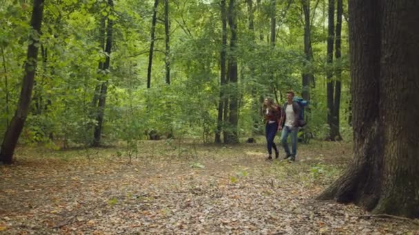 Vandringshobby. Ung aktiv man och kvinna backpackers promenader i skogen med ryggsäckar och campingutrustning — Stockvideo
