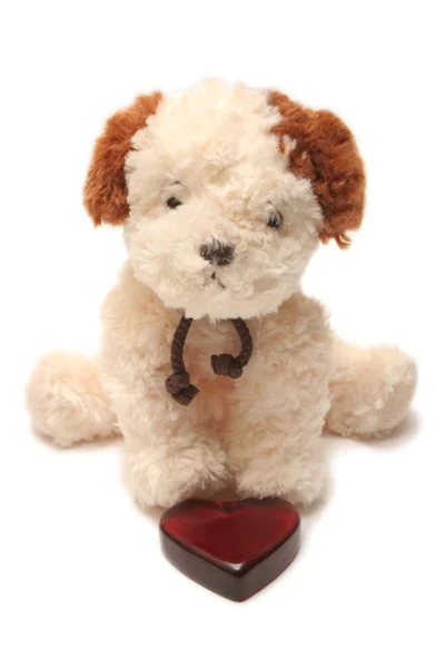 La tarjeta de felicitación - el perro de juguete con el corazón en la caja —  Fotos de Stock
