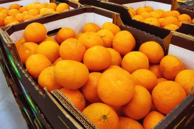 Gıda mağazasında kutularındaki mandalina