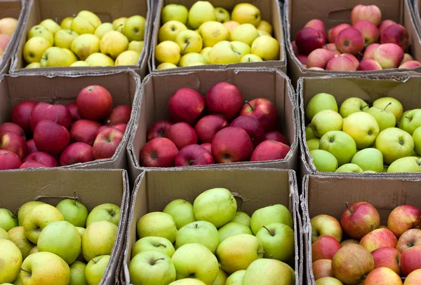 Manzanas en cajas — Foto de Stock