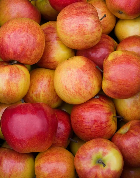 Manzanas coloreadas — Foto de Stock