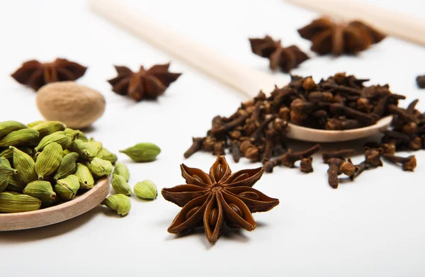 Variety of spices in wooden spoons — Stock Photo, Image