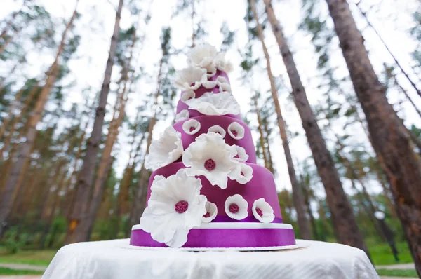 Große Hochzeitstorte mit Blumen — Stockfoto