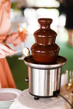 Chocolate fountain catering at the party clipart
