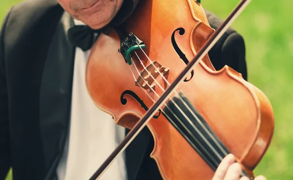 Музыкант в бабочке играет на скрипке на открытом воздухе — стоковое фото
