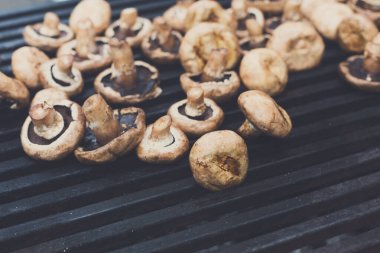 Mantar Barbekü metal ızgara kavrulmuş. Diyet vegan Barbekü. Piknik açık havada, mantar kebabı