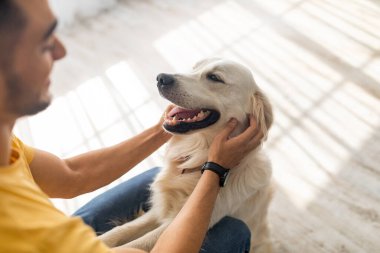 Adamın biri Golden Retriever 'ını okşarken yere oturup gülümsüyor. Güneş ışığı pencerelerden süzülerek mutluluk ve bağlantı dolu sıcak bir atmosfer yaratır..