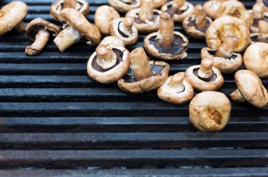 Mantar Barbekü metal ızgara kavrulmuş. Diyet vegan Barbekü. Mantarlar kebap closeup piknik açık havada