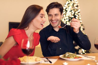 Bir çift sıcak bir akşam yemeğinin tadını çıkarıyor, kahkahalar ve yemek paylaşıyorlar. Etrafları tatil için dekore edilmiş sıcak bir atmosferle çevrili. Neşeli anlarını güzelleştiriyorlar..