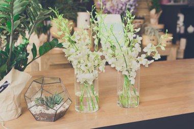 Çiçekçi dükkanı geçmişi. Çiçek tasarım stüdyosu, dekorasyon ve düzenlemeler. Çiçek teslimatı ve saksıda ev bitkilerinin satışı, filtrelenmiş görüntü