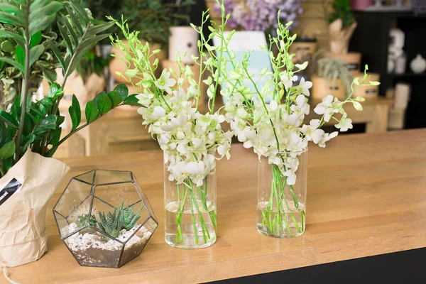 Küçük bir iş. Modern çiçekçi dükkanı. Çiçek tasarım stüdyosu, dekorasyon ve düzenlemelerin satışı.