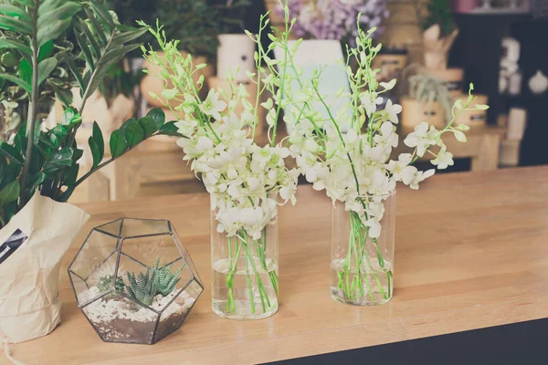 Çiçekçi dükkanı geçmişi. Çiçek tasarım stüdyosu, dekorasyon ve düzenlemeler. Çiçek teslimatı ve saksıda ev bitkilerinin satışı, filtrelenmiş görüntü