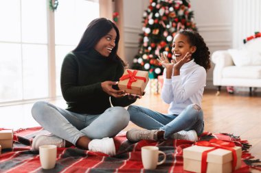 Mutlu bir Afrikalı Amerikalı kadın heyecanlı kızına bir hediye verirken gülümsüyor. Aile Noel kutlamalarını kırmızı bir battaniyeyle kutluyor, etrafı dekore edilmiş bir oturma odasıyla çevrili..