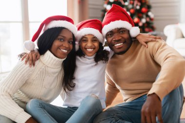 Kırmızı Noel Baba şapkaları takan üç kişilik neşeli bir aile Noel 'i evlerinde kutluyor. Bir şenlik ağacının yanında oturup birlikte geçirdikleri zamanın tadını çıkarıyorlar..