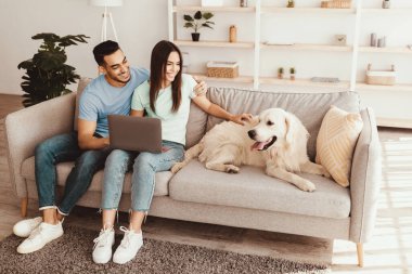 Genç bir çift gri bir kanepeye yakın oturuyor, aktif olarak dizüstü bilgisayar kullanıyorlar. Golden Retriever 'ları onların yanında rahatça yatıyor..