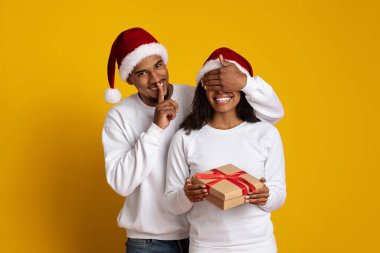 Kadın güzel paketlenmiş bir hediyeyi tutarken bir erkek bir kadının gözlerini şakayla kapar. Her ikisi de Noel Baba şapkası takıyor ve gülümsüyor. Tatil sezonunda mutluluk saçıyorlar..