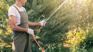 Tulumlu bir adam yeşillik ve güneş ışığıyla dolu canlı bir bahçeye çiçek açar. Çeşitli çiçek ve çalıları beslemek için bir hortum kullanıyor. Doğada huzurlu bir anın tadını çıkarıyor..