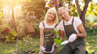 Two smiling seniors work in their beautiful garden on a sunny day. They hold plants and garden tools while surrounded by blooming flowers and greenery.