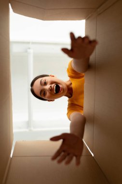 Neşeli bir Asyalı kadın evde bir karton kutuyu açıyor. Kutuya heyecanla uzanır, yeni eşyalarını keşfetmek için sabırsızlanır. Manzara paketin içinden, onun mutluluğunu yakalıyor..