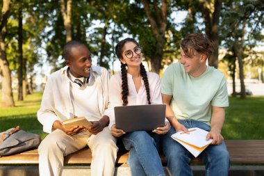 Üç genç yetişkin yeşil bir parkta bir bankta oturup güneşli bir günde birbirlerinin arkadaşlığından keyif alırken çalışmalarını ve işlerini tartışırlar..