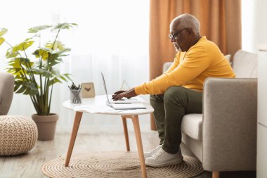 Sarı kazaklı yaşlı bir adam kanepede rahatça otururken dizüstü bilgisayarına odaklanır. Doğal ışık yeşilliklerle dolu modern oturma odasını aydınlatır..