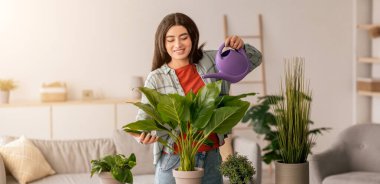 Genç bir insan parlak bir oturma odasında saksılarda yeşil bitkileri sularken gülümsüyor. Mekan rahat, çeşitli ev bitkileriyle rahat bir atmosfer var..