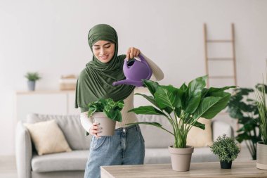 Başörtüsü takan olumlu genç Arap kadın evdeki bitkileri suluyor. Oturma odasında, bahçesini beslerken huzurlu bir atmosfer yaratıyor..