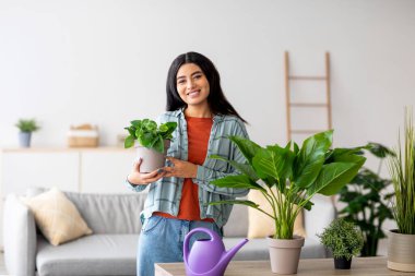 Güzel, genç bir Arap kadın elinde saksı çiçeği tutarken mutlu bir şekilde poz veriyor. Doğal ışıkla dolu şık bir yaşam alanında çeşitli ev bitkileriyle çevrili..