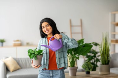 Hoş bir Orta Doğulu kadın ev bitkileriyle parlak ve modern bir yaşam alanında ilgileniyor. Bir saksıyı suluyor ve gülümsüyor. Bahçeyle uğraşma tutkusunu rahatlatıcı bir hobi olarak gösteriyor..